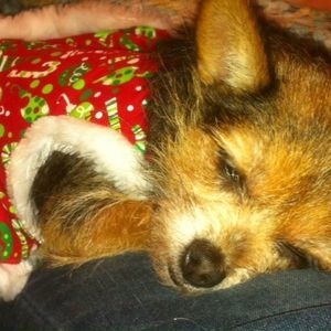 Meet your Posher, Tammy